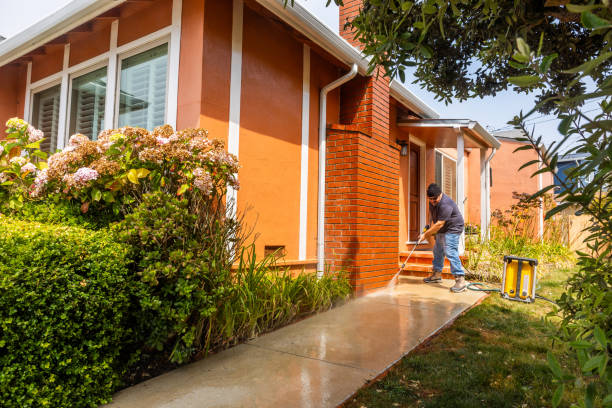 Best Sidewalk Pressure Washing  in Clarion, IA